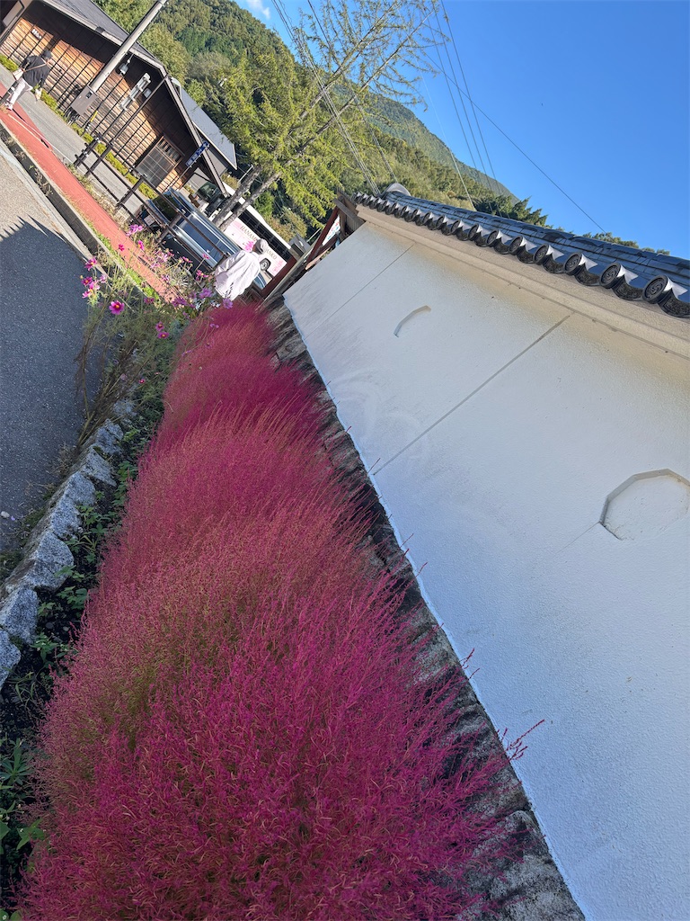 f:id:chirl0301:20251014181739j:image