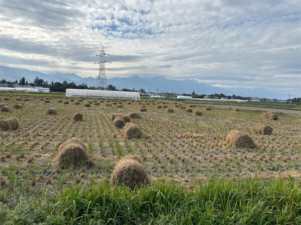 f:id:chirl0301:20251015075417j:image