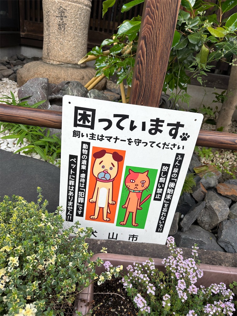 f:id:chirl0301:20260506083433j:image f:id:chirl0301:20260506083433j:image