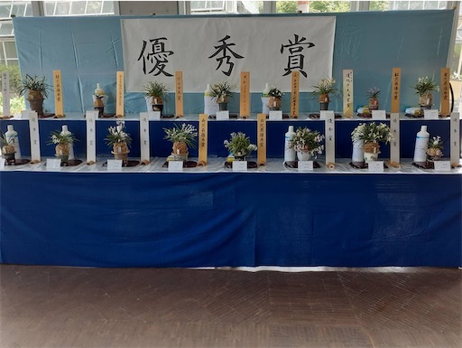 f:id:chiro432:20220716202135j:image