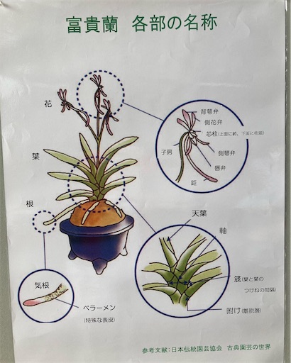 f:id:chiro432:20220716202330j:image