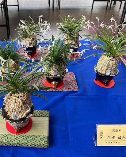 f:id:chiro432:20220716202430j:image
