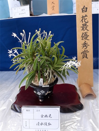 f:id:chiro432:20220716202627j:image