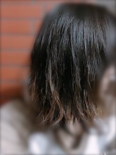 f:id:chiro5757:20180411181719j:image f:id:chiro5757:20180411181719j:image