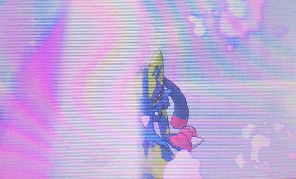 f:id:chiro_uxie:20220116145604j:image