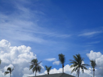 f:id:chirorin-mura:20191027172605j:plain