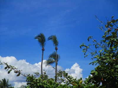 f:id:chirorin-mura:20191029203628j:plain f:id:chirorin-mura:20191029203628j:plain