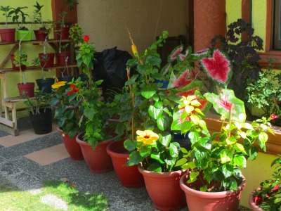 f:id:chirorin-mura:20191029203855j:plain f:id:chirorin-mura:20191029203855j:plain