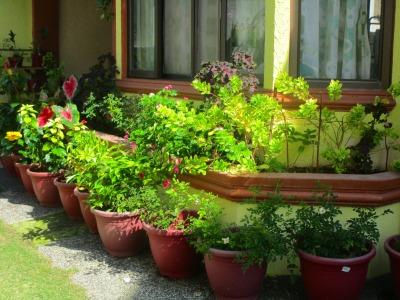 f:id:chirorin-mura:20191029204037j:plain f:id:chirorin-mura:20191029204037j:plain