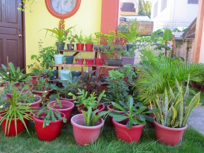 f:id:chirorin-mura:20191029204206j:plain f:id:chirorin-mura:20191029204206j:plain