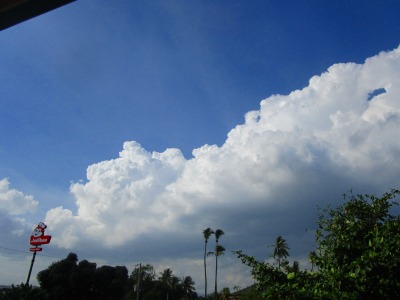 f:id:chirorin-mura:20191114213007j:plain f:id:chirorin-mura:20191114213007j:plain