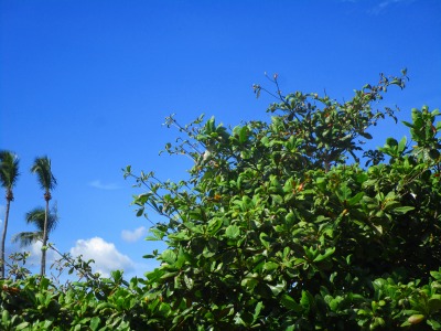 f:id:chirorin-mura:20191125021754j:plain f:id:chirorin-mura:20191125021754j:plain