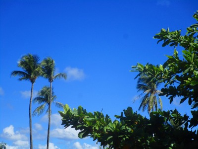 f:id:chirorin-mura:20200319221059j:plain