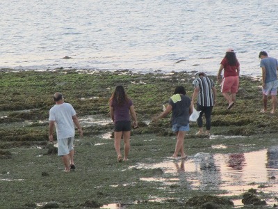 f:id:chirorin-mura:20200410222107j:plain f:id:chirorin-mura:20200410222107j:plain