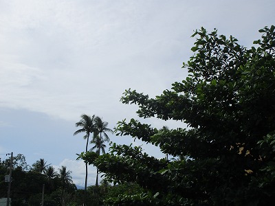 f:id:chirorin-mura:20200619222203j:plain f:id:chirorin-mura:20200619222203j:plain
