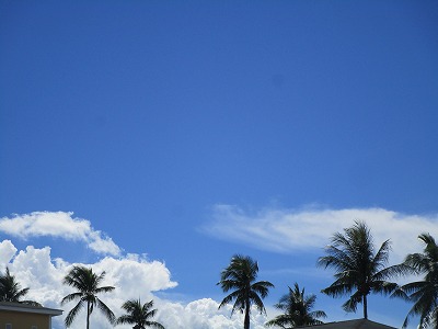 f:id:chirorin-mura:20200701001350j:plain