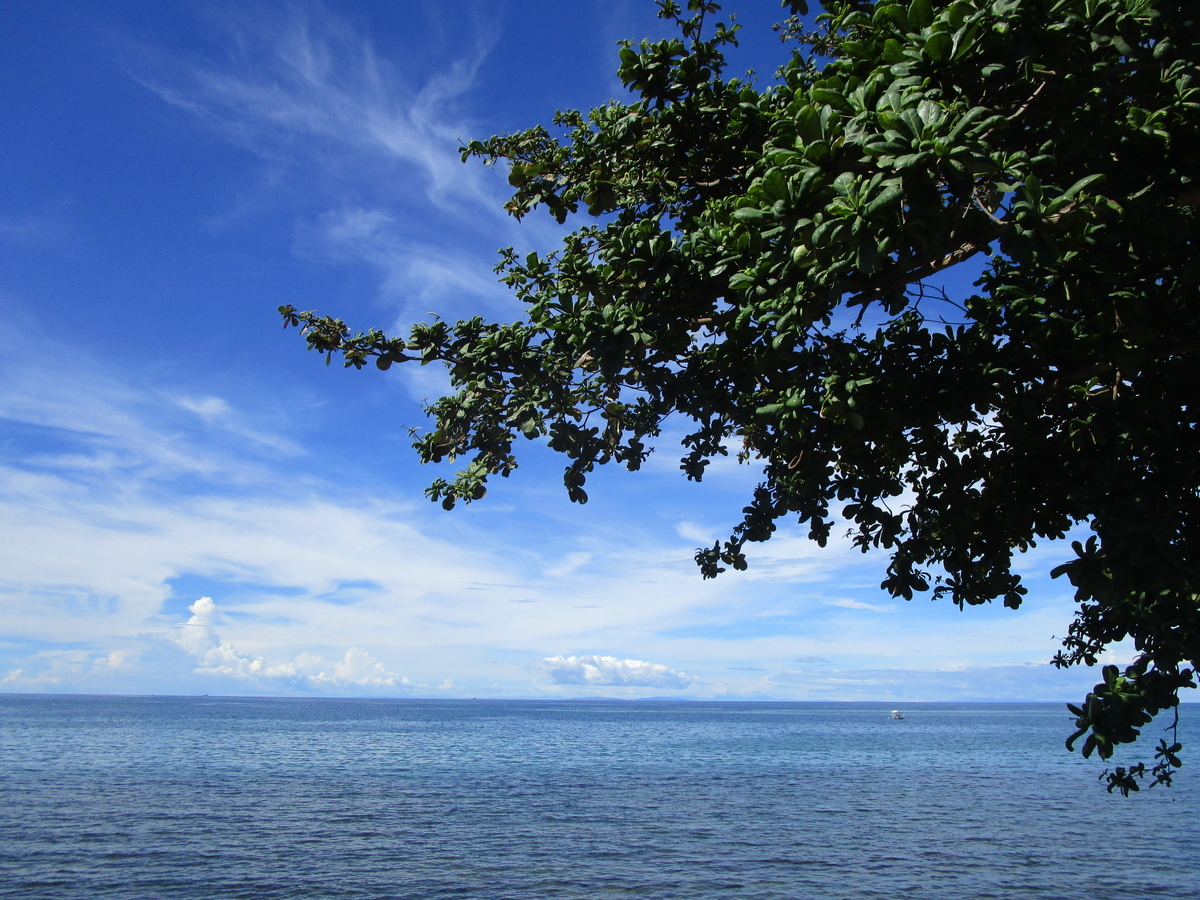 f:id:chirorin-mura:20200701001957j:plain