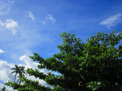 f:id:chirorin-mura:20200718021406j:plain f:id:chirorin-mura:20200718021406j:plain