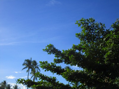 f:id:chirorin-mura:20200723004829j:plain