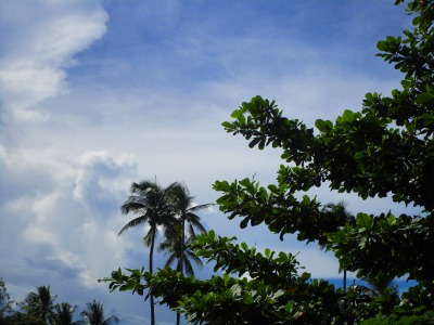 f:id:chirorin-mura:20200727003646j:plain