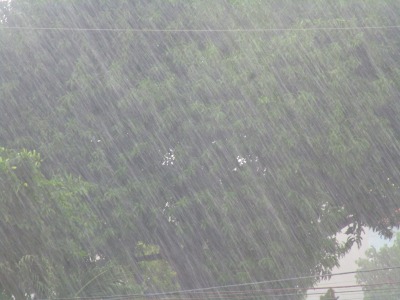 f:id:chirorin-mura:20200729180314j:plain f:id:chirorin-mura:20200729180314j:plain