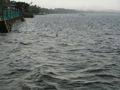 f:id:chirorin-mura:20200923005507j:plain f:id:chirorin-mura:20200923005507j:plain