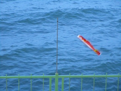 f:id:chirorin-mura:20210206005918j:plain