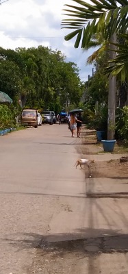 f:id:chirorin-mura:20210417001854j:plain