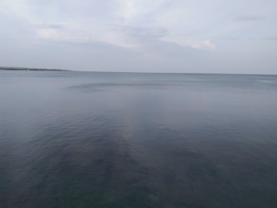 f:id:chirorin-mura:20210422023703j:plain