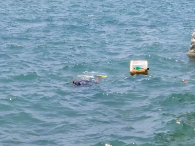 f:id:chirorin-mura:20210427010746j:plain