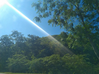 f:id:chirorin-mura:20210501232733j:plain