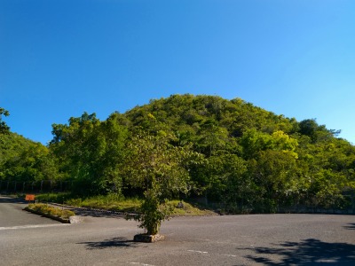 f:id:chirorin-mura:20210501233825j:plain