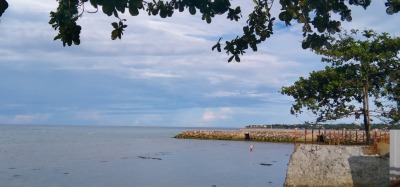 f:id:chirorin-mura:20210512011639j:plain