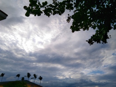 f:id:chirorin-mura:20210516004920j:plain