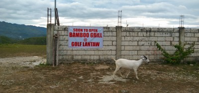 f:id:chirorin-mura:20210518230532j:plain