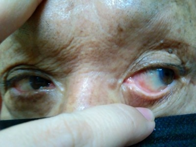 f:id:chirorin-mura:20210827015013j:plain