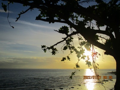 f:id:chirorin-mura:20220121215158j:plain