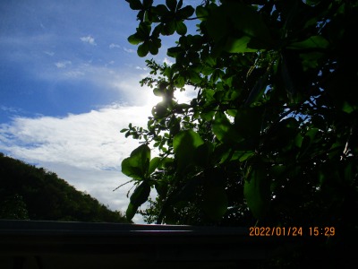 f:id:chirorin-mura:20220124215510j:plain
