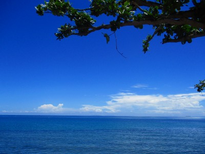 f:id:chirorin-mura:20220314151301j:plain