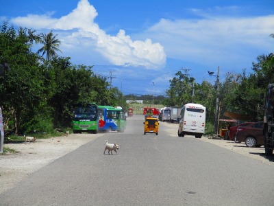 f:id:chirorin-mura:20220320021340j:plain