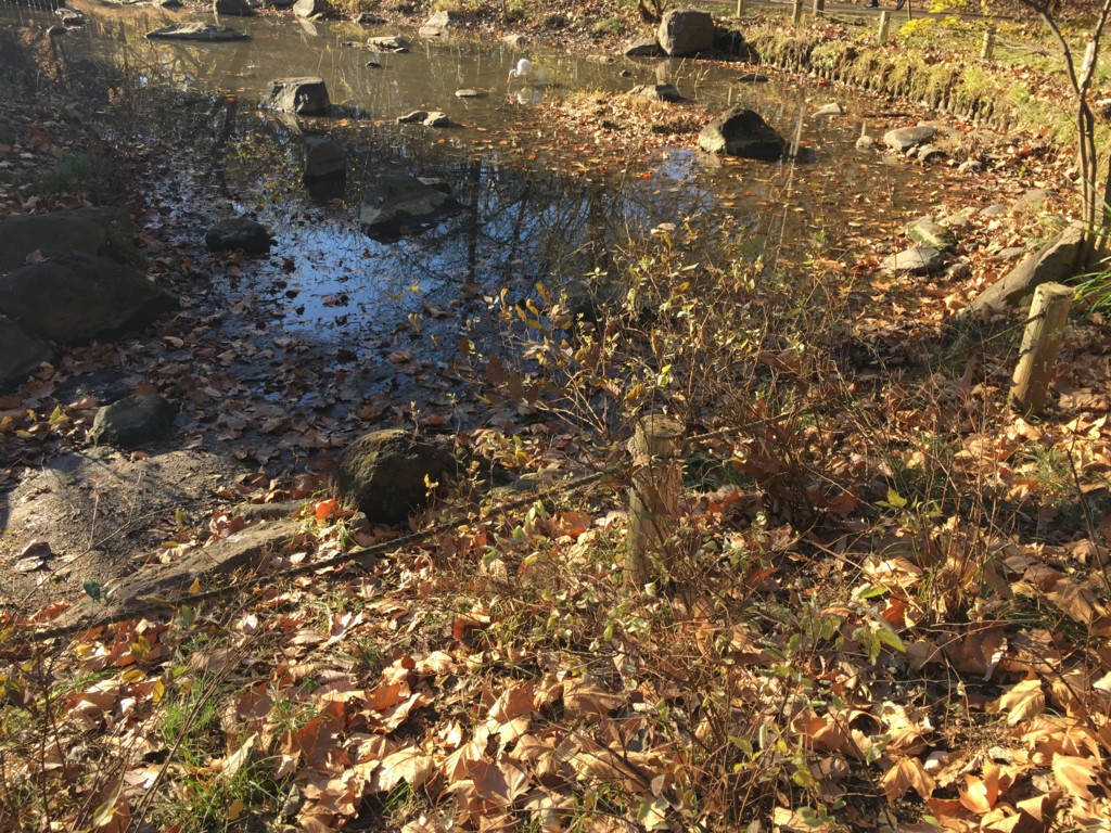 f:id:chirorinmura:20161217134927j:plain