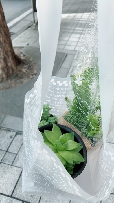 f:id:chiroru_27:20190217121608j:plain