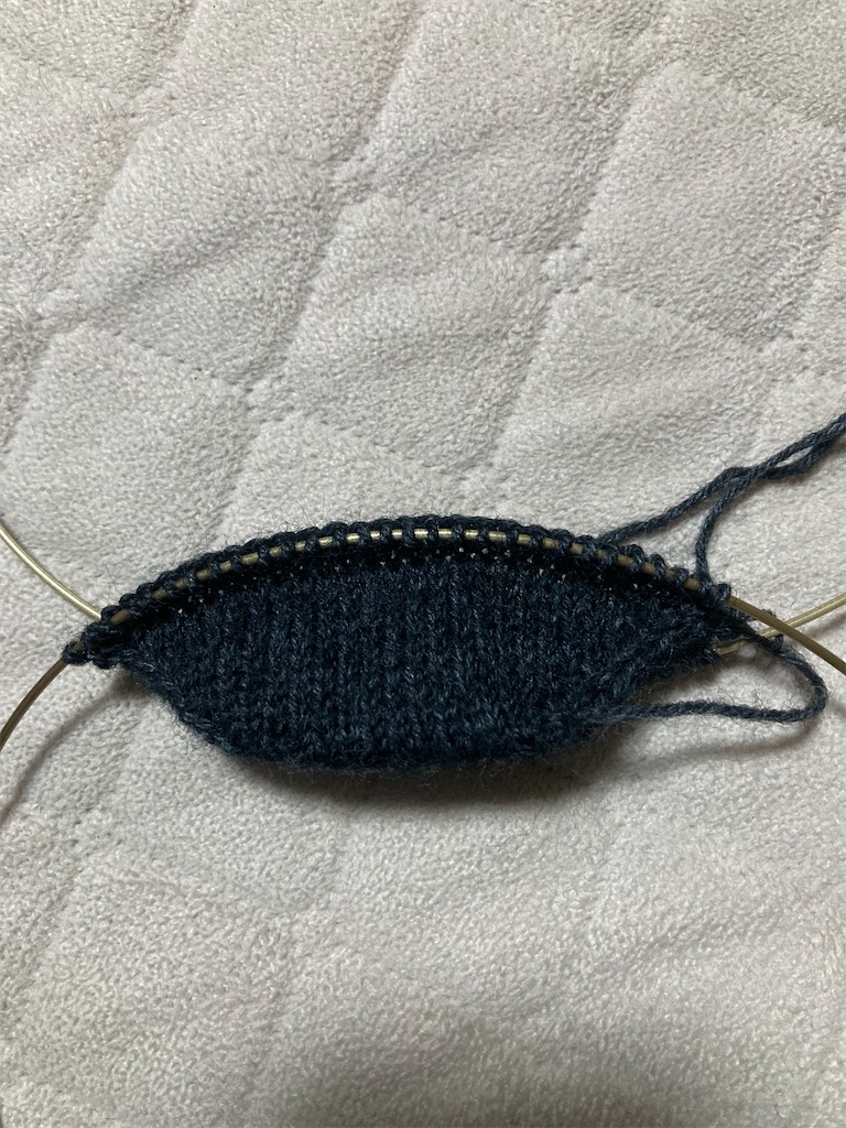 f:id:chirozou:20241127134401j:image