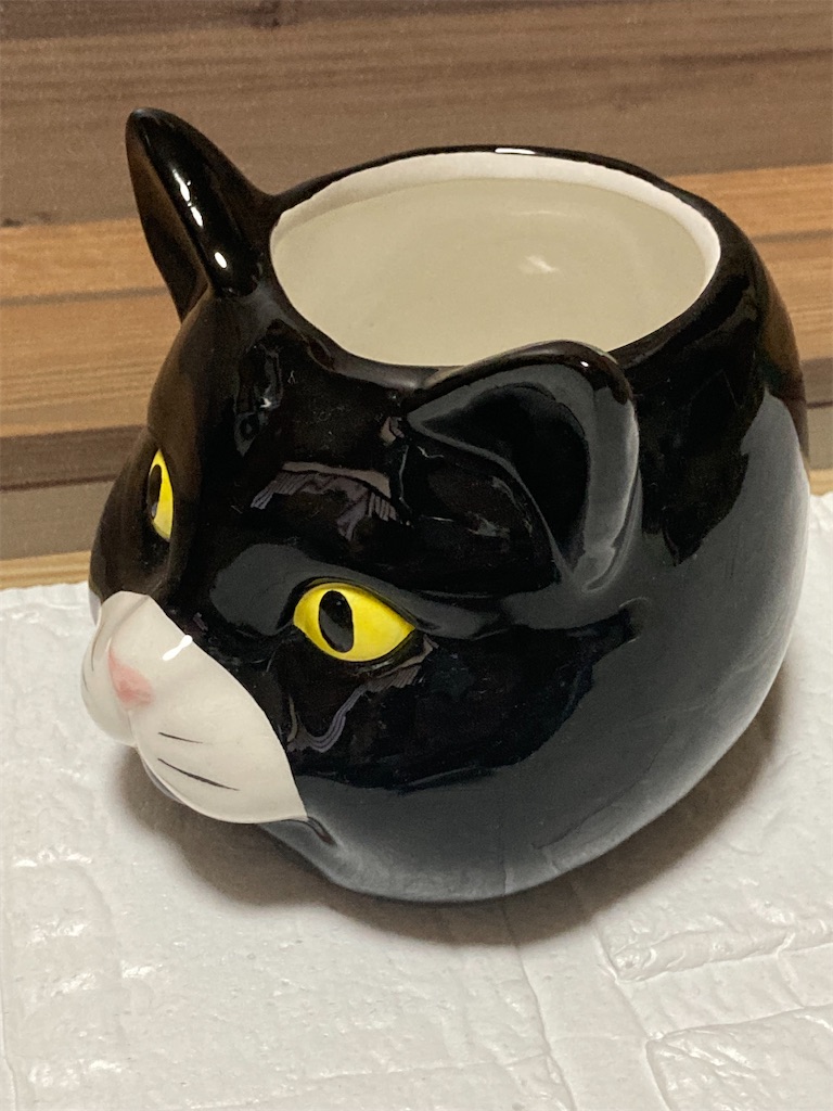 f:id:chirozou:20250801175112j:image