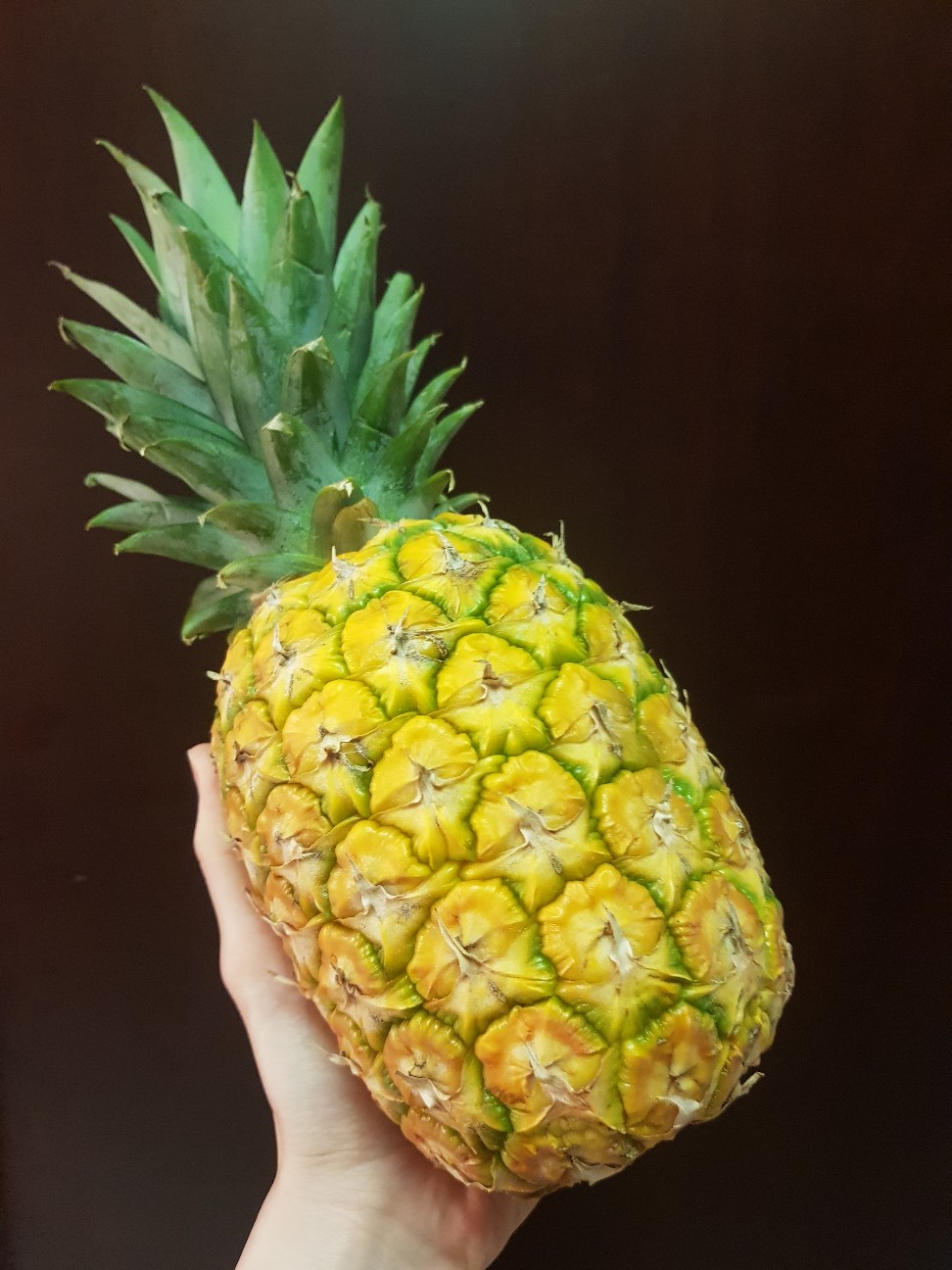 f:id:chiruchiru123:20210528031636j:image