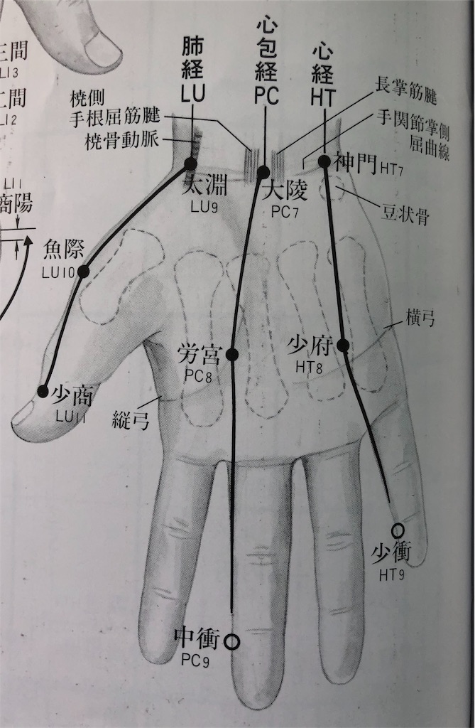 ツボのお話しシリーズその1 労宮 を使って手のアーチを解説
