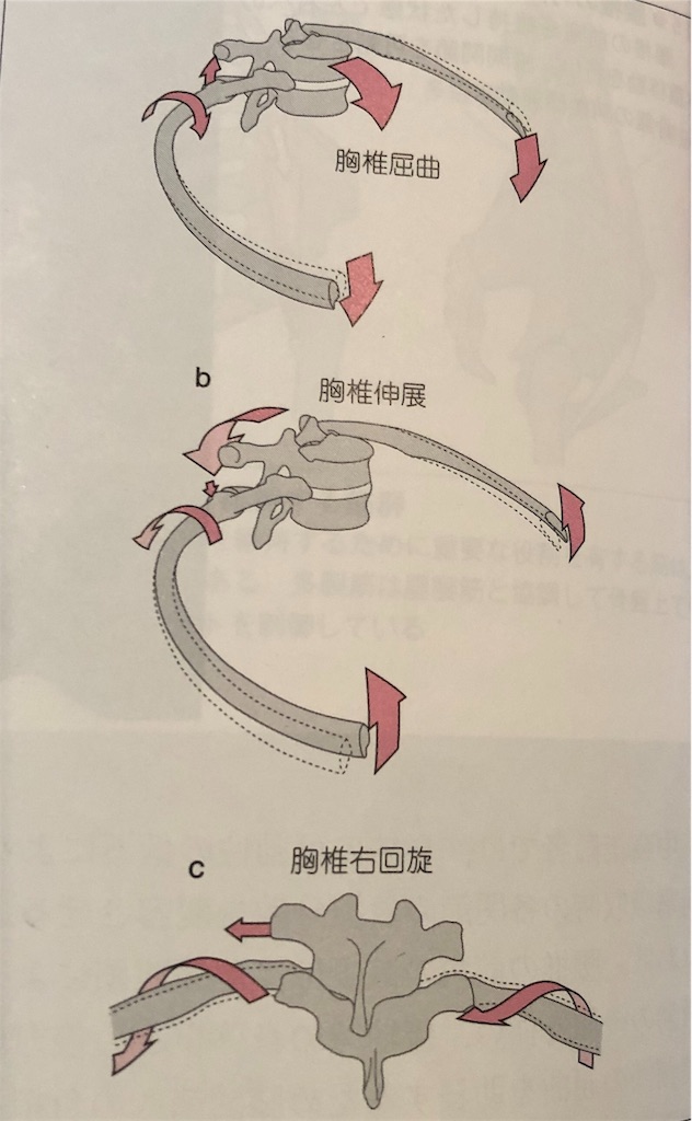 f:id:chiryouin111:20190215100411j:image