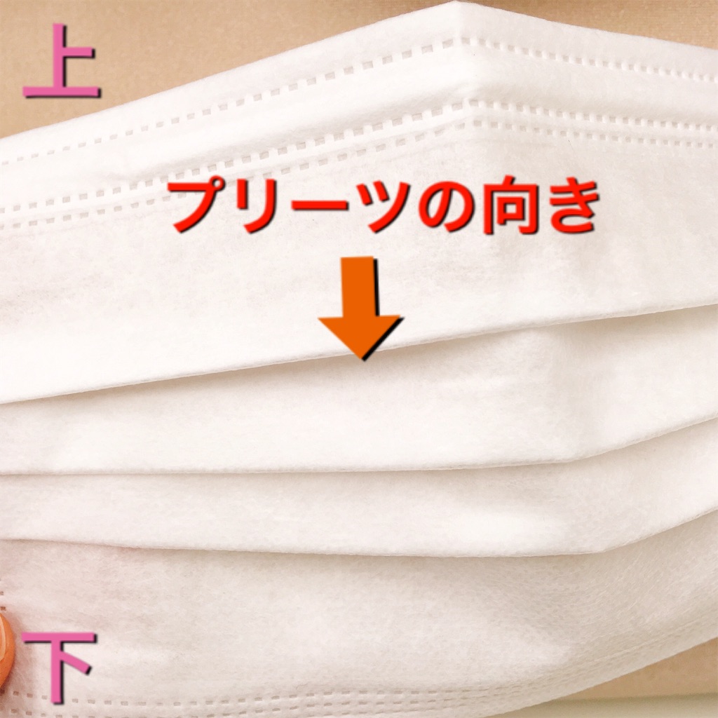 f:id:chisa_love:20190219011002j:image f:id:chisa_love:20190219011002j:image