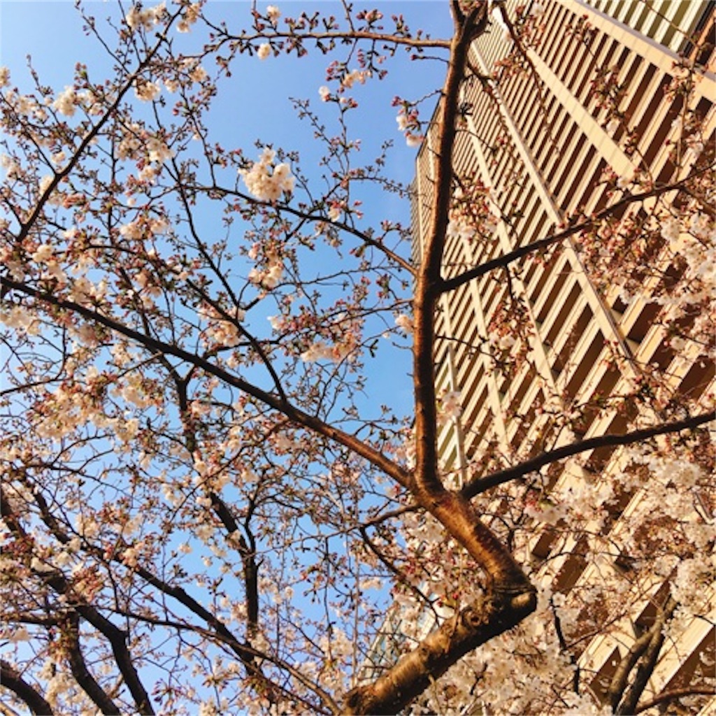 f:id:chisa_love:20190327230244j:image f:id:chisa_love:20190327230244j:image