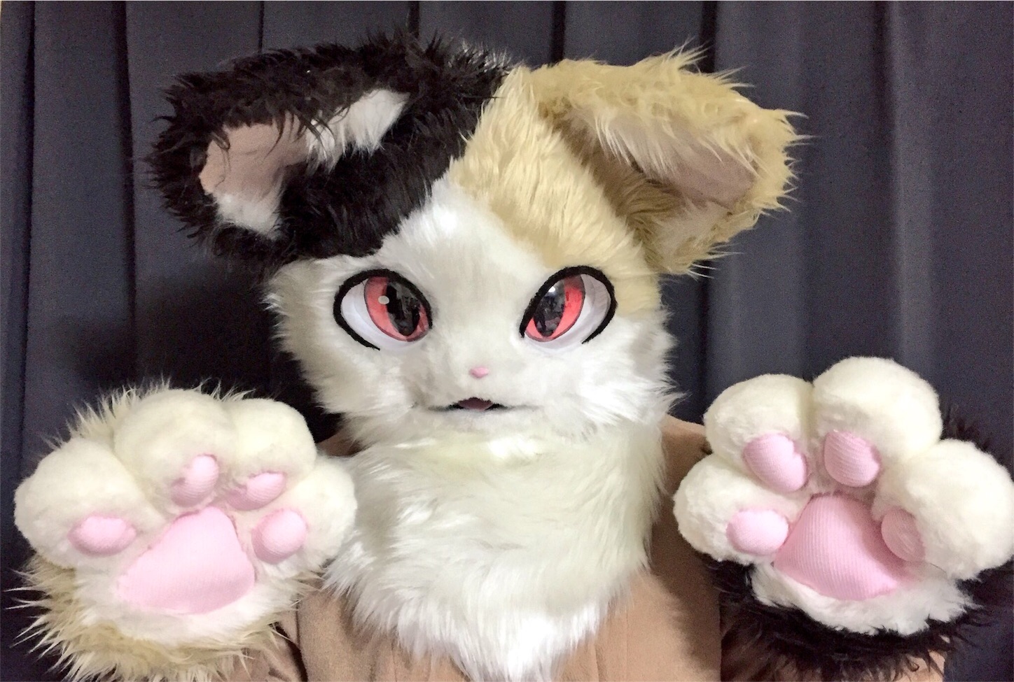 f:id:chisarakonbu:20160910184148j:image f:id:chisarakonbu:20160910184148j:image